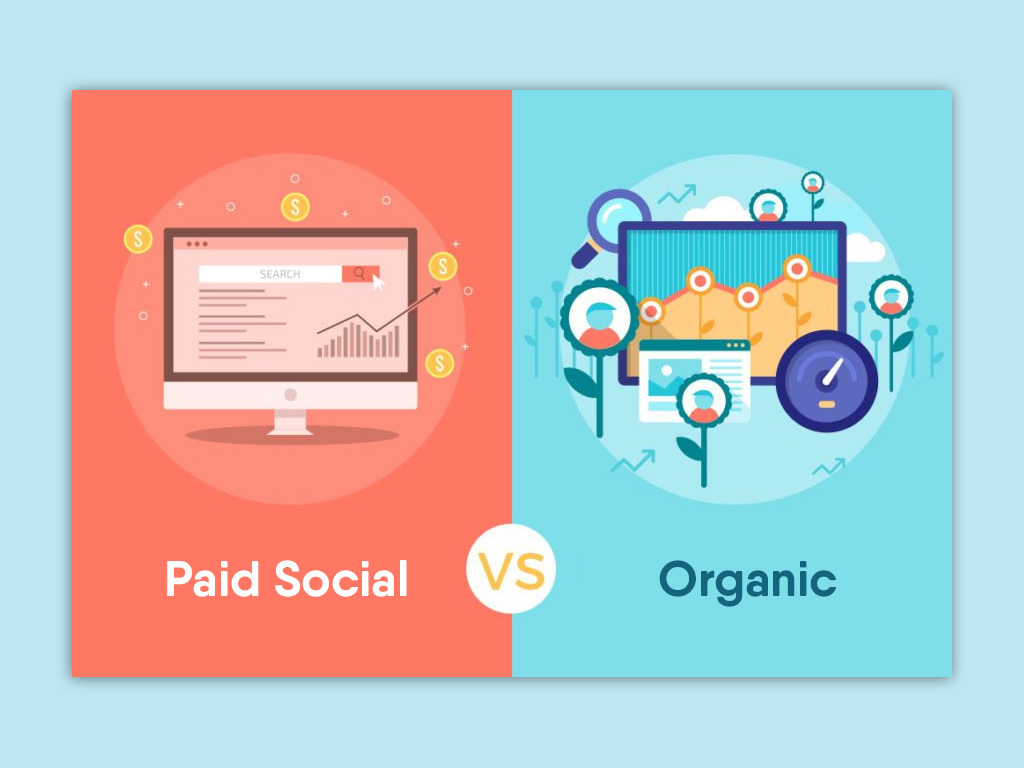 Comparison of Organic and Paid Social Strategies for Business Leads